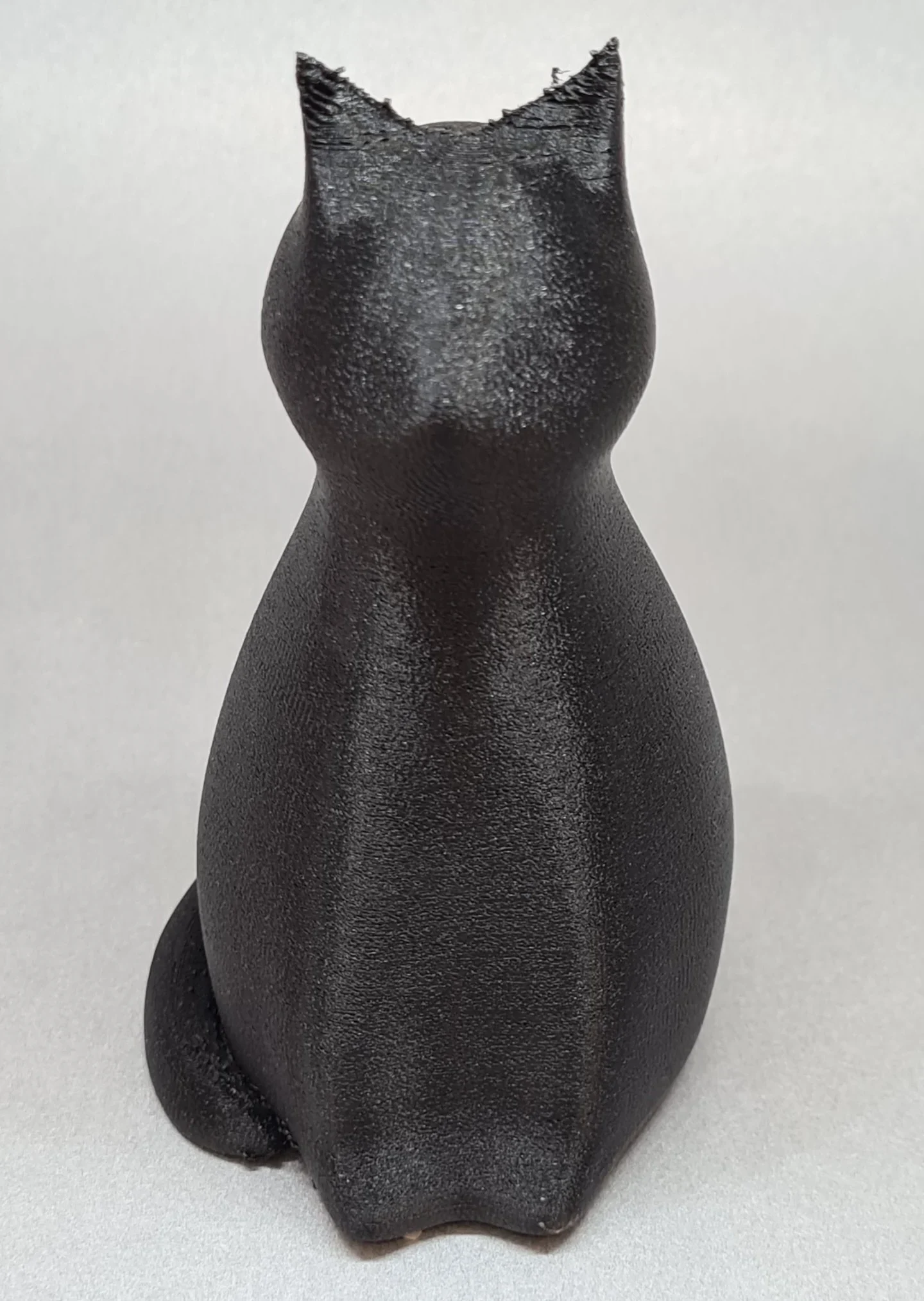 filaticum-com-filaticum-fuzzy-fuzzy-black-cat