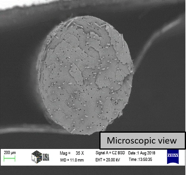 microscop-glass-1