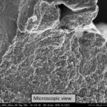 model-microscopic